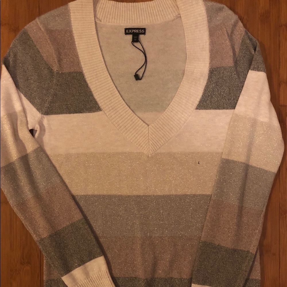 Express Long Sleeve Lightweight V-Neck Sweater